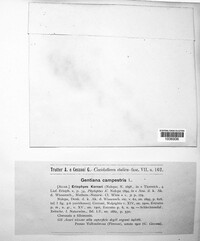 Image Associated With the Occurence